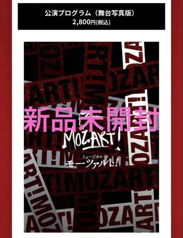 모차르트! 팜플렛 [ 무대 사진판 ]