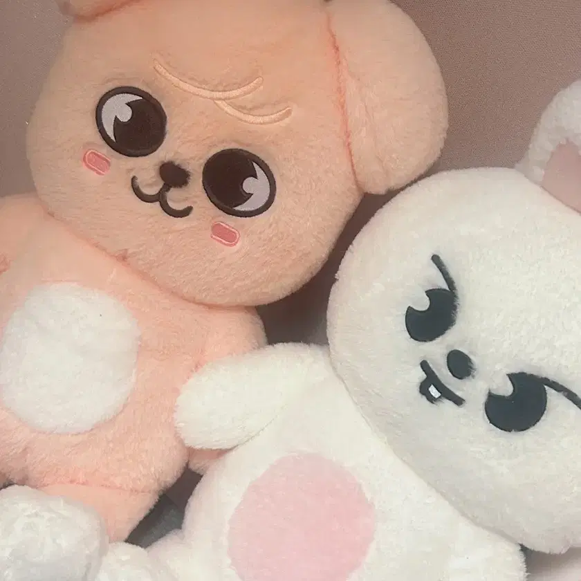 STRAY KIDS | 스트레이키즈 Stray Kids Teddy Bear Skzoo