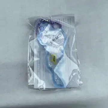 비와코 아크릴 키링