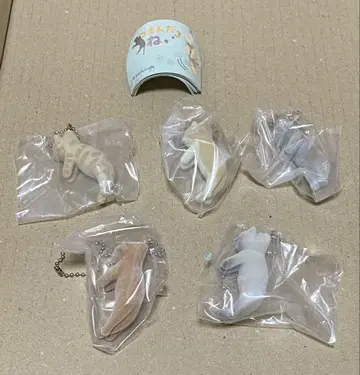 집은 고양이 3 가챠