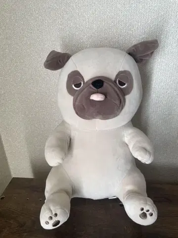 퍼그 봉제 인형 빅