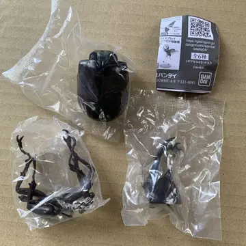 생물대도감 야마토장수풍뎅이 개