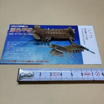 유진 원색 갑각류 새우 게 도감 I 샤코