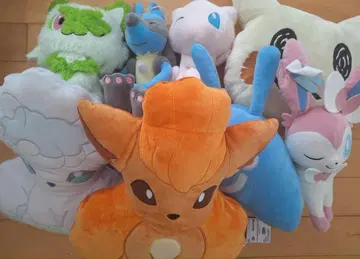 포켓몬 봉제 인형 SET