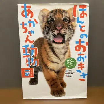 정말 크기 아기 동물원