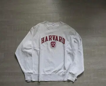 00s Champion 리버스 위브 Harvard 자수 로고 2단