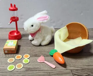 돌봐줘요! 복슬복슬 토끼