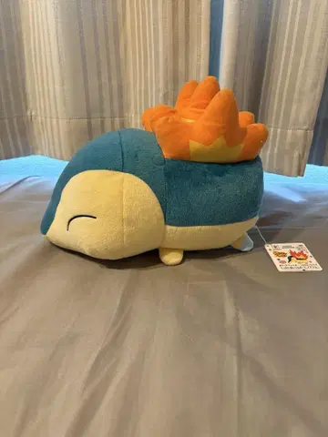 코로링 프렌즈 큰 인형 히노아라시 택 포함