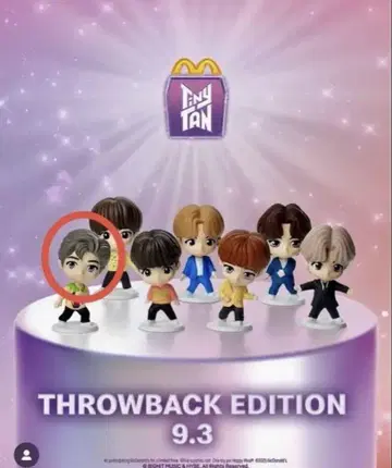 BTS Tiny Tan RM 피규어 알엠
