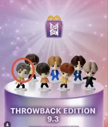 BTS 타이니탄 RM 피규어 알엠