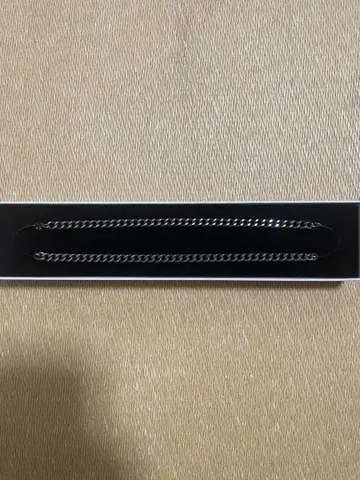 phiten 티타늄 체인 목걸이 40cm