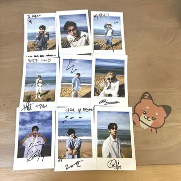 zb1 The beach boy ZB1 폴라로이드 9장 세트