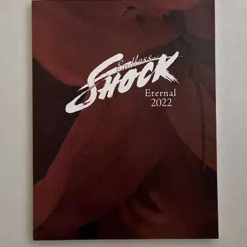 Endless Shock Eternal 2022 팜플렛