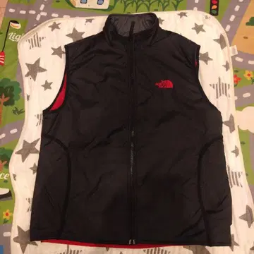 상의 베스트 남성용 THE NORTH FACE