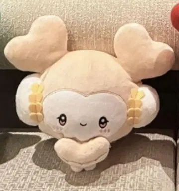 TWICELOVERYS 포켓 BIG 봉제 인형 gigo 산리오 다현