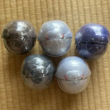 생물대도감 쥐며느리 쥐며느리