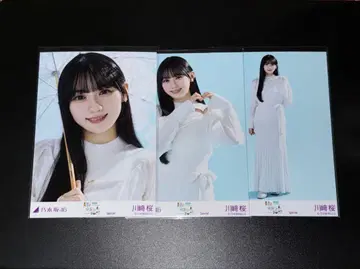 한여름 전국 투어 Special 카와사키 벚꽃 컴프