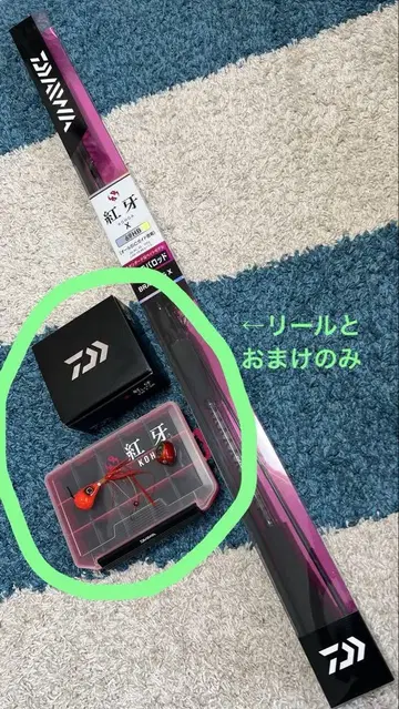Daiwa 홍아 TW 7.3R 베이트릴 새상품급