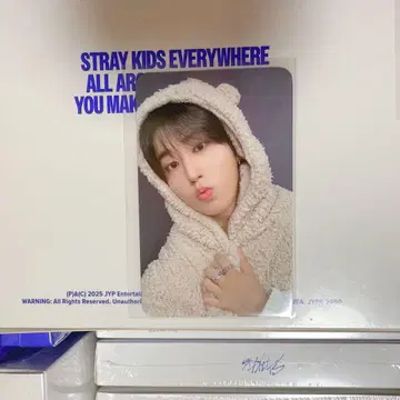 straykids KARMA 리스펙트 트레이딩 카드 한