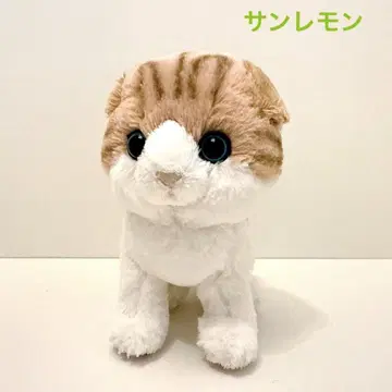 선레몬 키튼 스코티시 폴드 고양이 봉제 인형