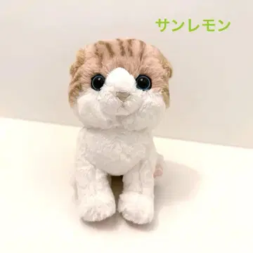 선레몬 키튼 스코티시 폴드 고양이 봉제 인형