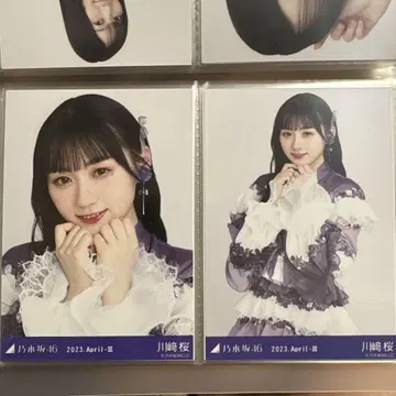 카와사키 벚꽃 브로마이드 노기코레