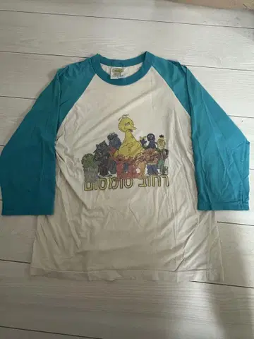 80s 빅버드 프린트 래글런 T