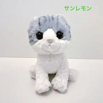 선레몬 키튼 스코티시 폴드 새끼 고양이 봉제 인형