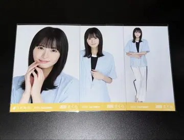 썸머 자켓 엔도 사쿠라 컴프