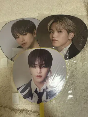 오히라 쇼세이 부채