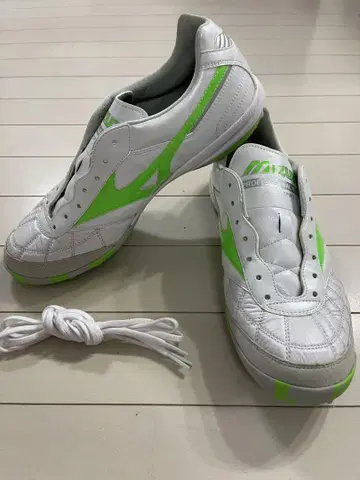 모레리아 SALA JAPAN TF