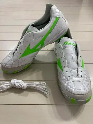 모레리아 SALA JAPAN TF