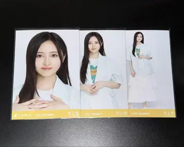 썸머 자켓 이노우에 와카 컴프