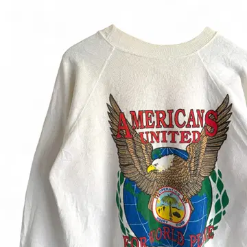 90s 빈티지 USA Hanes DESERT STORM F10