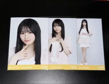 썸머 자켓 카와사키 벚꽃 컴프