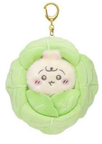 치이카와 baby 양배추에 싸인 토끼 마스코트