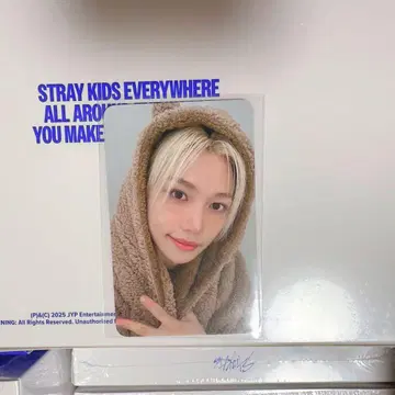 straykids KARMA 리스파 필릭스