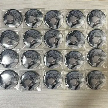 아이나나 야오토메 가쿠 드래곤 컬렉션 캔뱃지