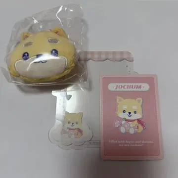 JOCHUM 마메치 브로치 & 경질 카드 케이스