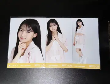 썸머 자켓 세토구치 신게츠 컴프