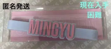 세부치 익명 배송 새상품급 SEVENTEEN 민규 응원봉 액세서리