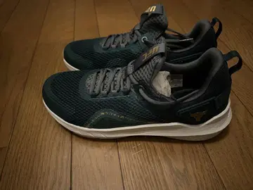 UFC 30주년 기념 PROJECT ROCK 신발