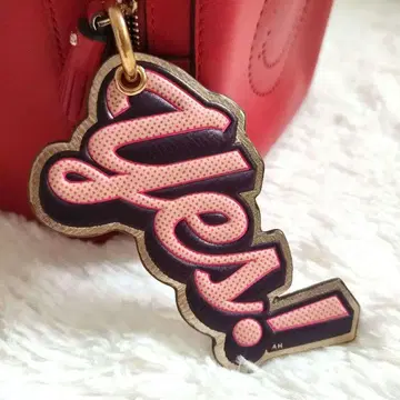 안야 힌드마치 키 참 키링 키링 anya