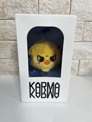 KARMA skzoo 필릭스 포가리 트레이딩 카드 포함