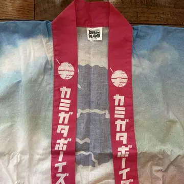 KAMIGATA BOYS 하피