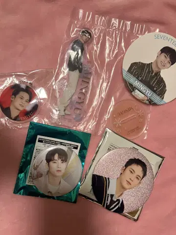 SEVENTEEN MINGYU 5장 세트