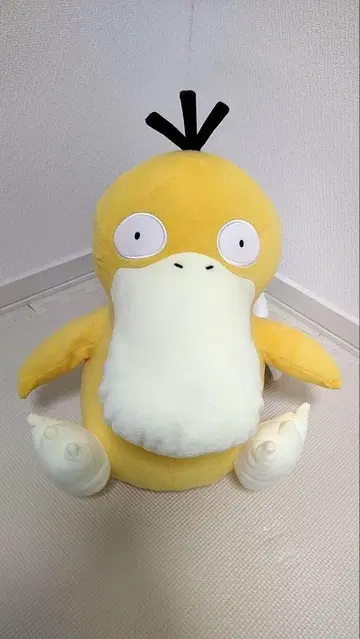 코닥 봉제 인형 빅