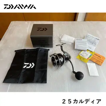 다이와 25 LT5000-CXH 연어 가을 연어 낚시