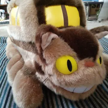 고양이 버스
