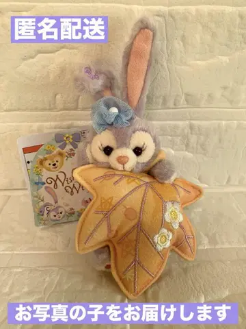 택 포함 새상품 스텔라 루 봉제 인형 참 위싱 윙스 2